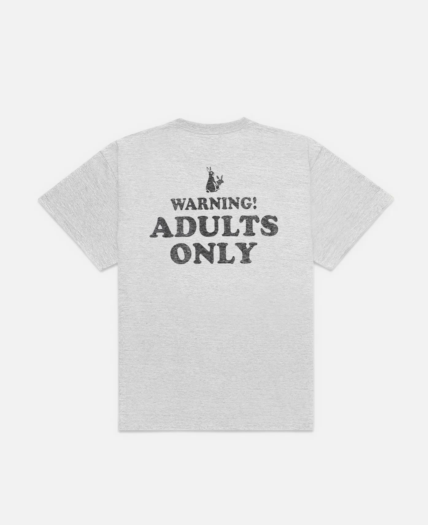 Adults Only T-Shirt (Grey)