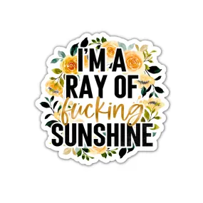 I'm A Ray Of Fucking Sunshine | Sticker