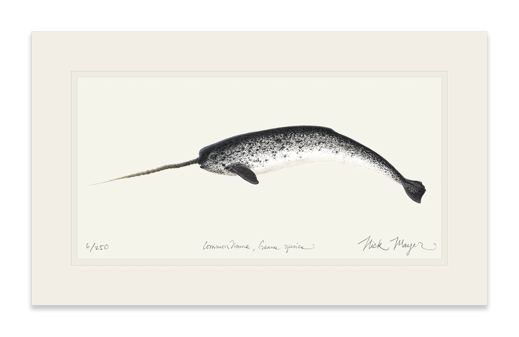 Narwhal Print