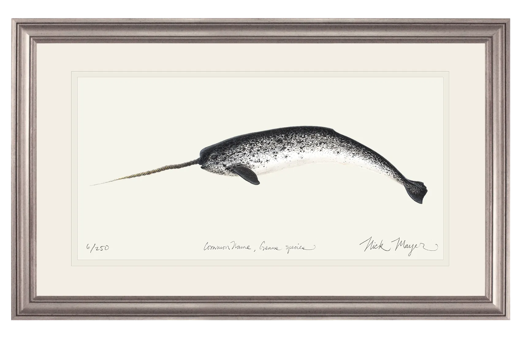 Narwhal Print