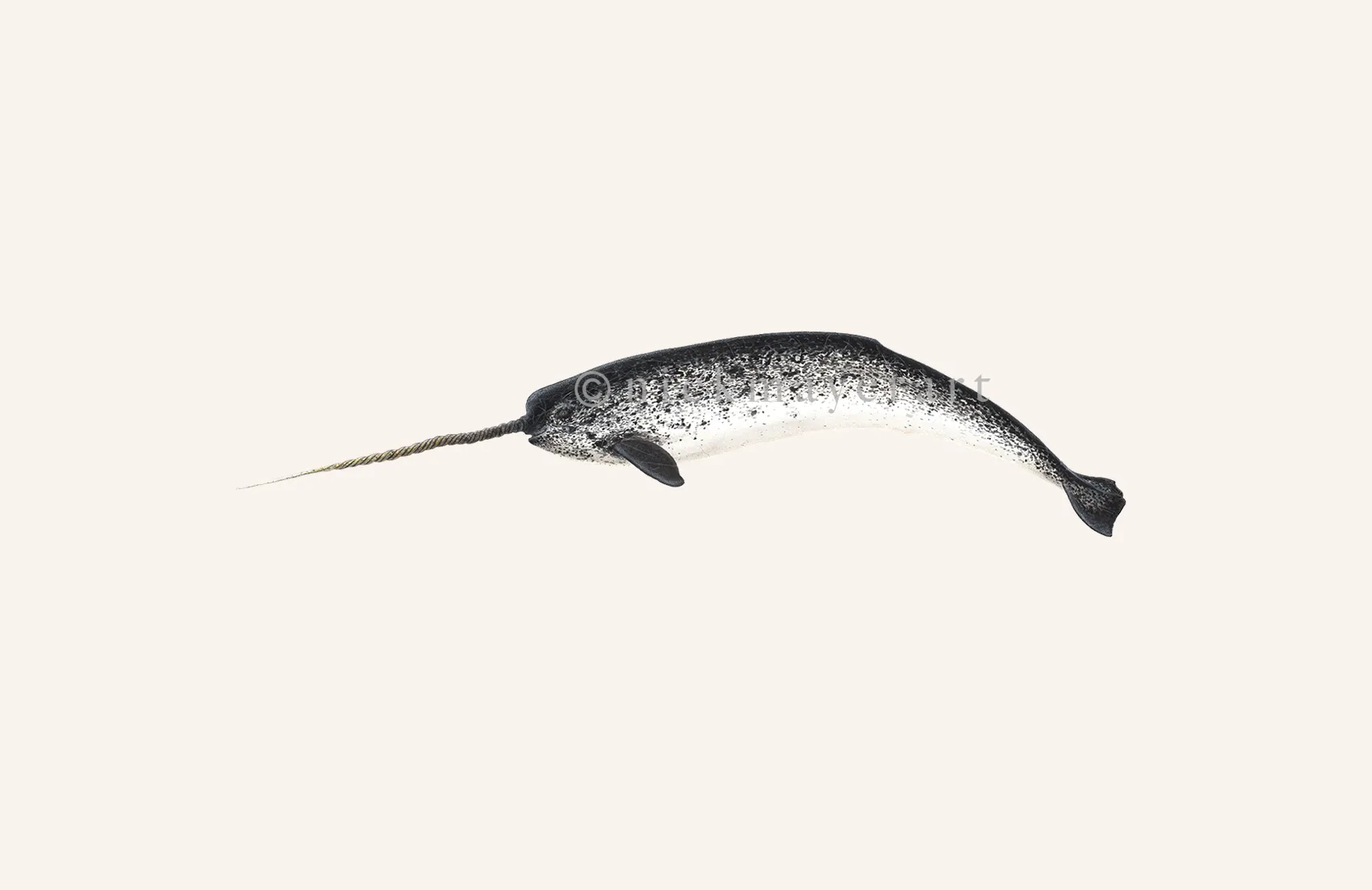 Narwhal Print