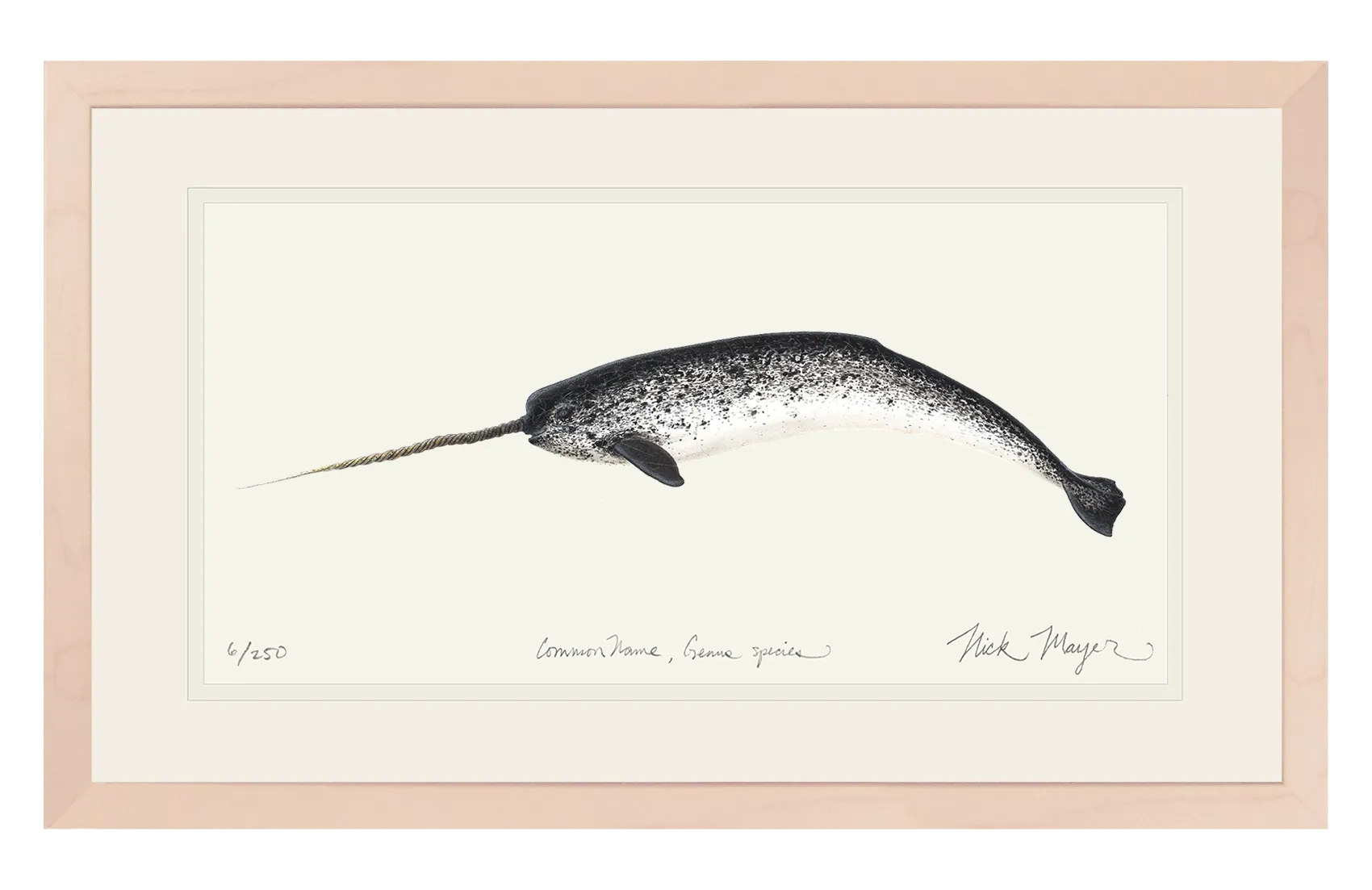 Narwhal Print